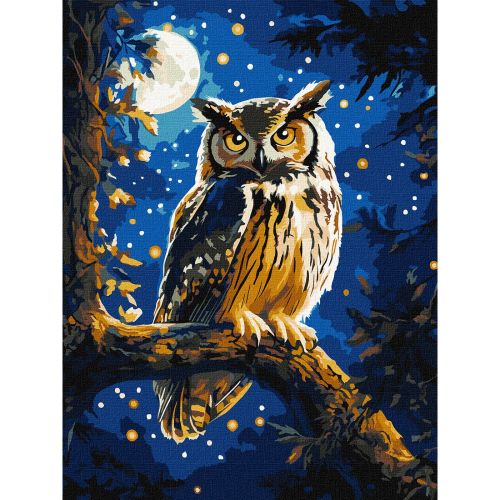 Картина за номерами з фарбами металік "Нічна сова" 30х40 см  мініатюра фото 1
