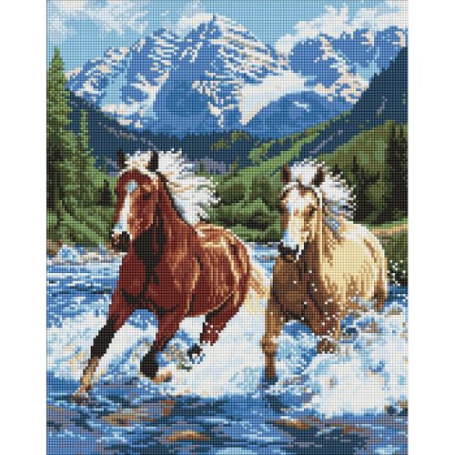 Алмазна мозаїка "Сила у русі" 40х50 см  мініатюра фото 1