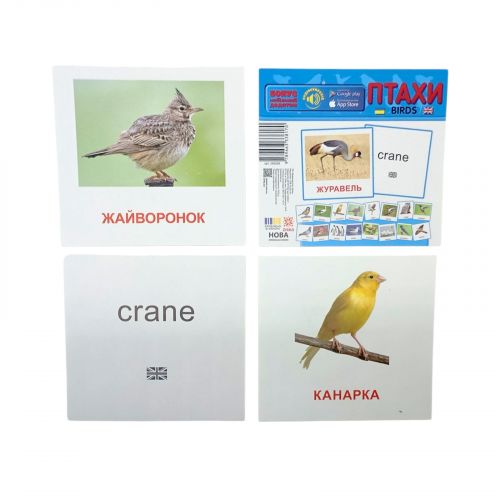 Картки міні Птахи ЖУРАВЕЛЬ (110х110 мм)  мініатюра фото 1