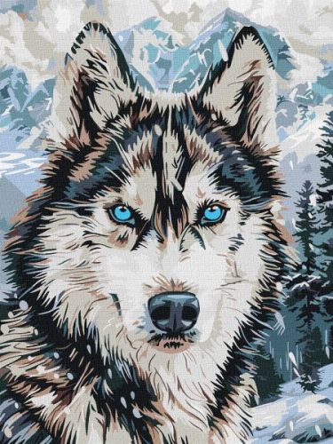 Картина за номерами - "Очі півночі" ©art_selena_ua, 30х40см  мініатюра фото 1