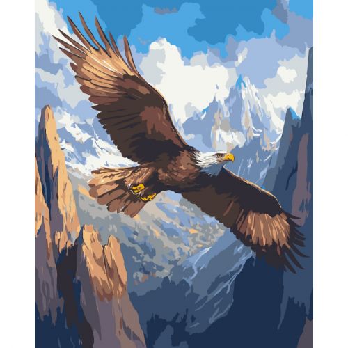 Картина по номерам "Політ над безмежжям" 40*50 см  мініатюра фото 1