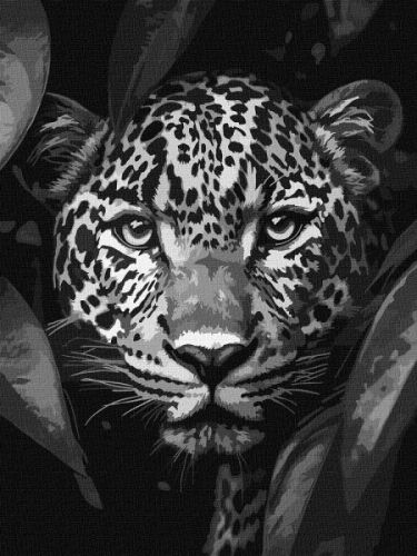 Картина за номерами - Леопард на полюванні 30х40 см.  мініатюра фото 1