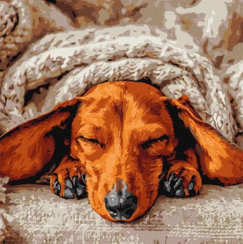 Картина за номерами - Солодкий спокій 40х40 см.  мініатюра фото 1