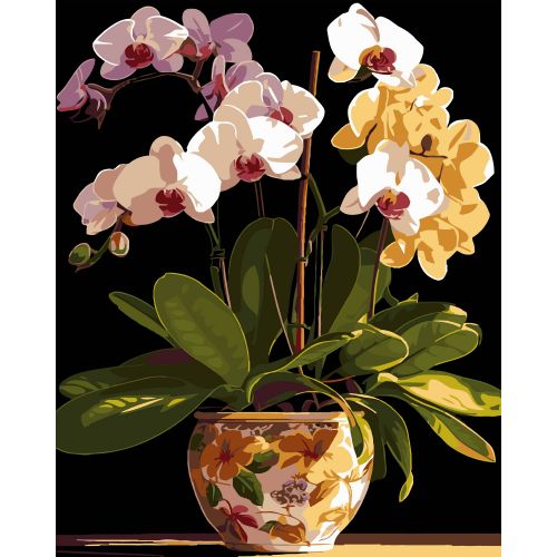 Картина по номерах на чорному фоні "Вазон орхідей" 40х50 см  мініатюра фото 1