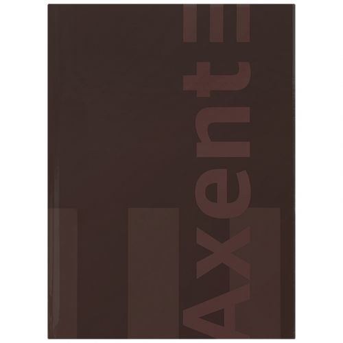 Книга записна А4-, 203*273 мм,96 арк. , кл.  One color, борд.  мініатюра фото 1