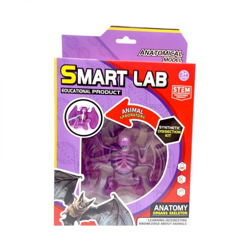 Набор для опытов Анатомия животных, Летучая мышь  мініатюра фото 1