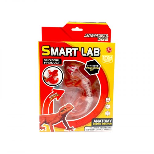 Набор для опытов Анатомия животных, Ящерица  мініатюра фото 1