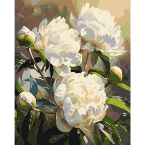 Картина за номерами "Гармонія півоній" 40х50 см  мініатюра фото 1