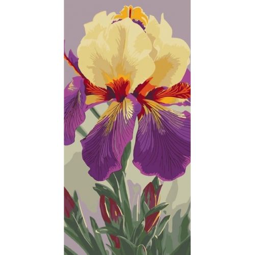 Картина за номерами "Ірис Карнівал Каперс" 40х80 см  мініатюра фото 1