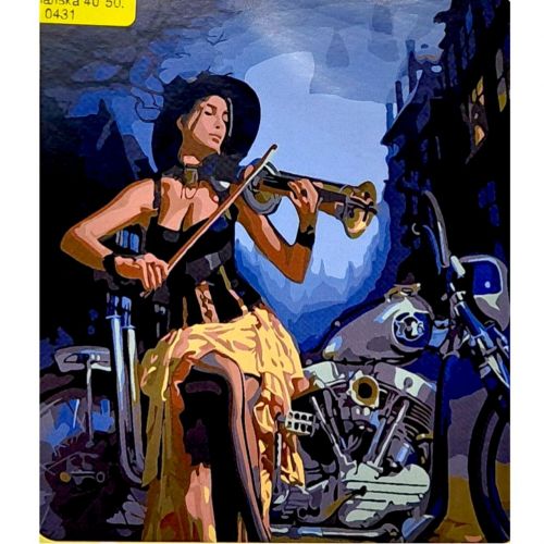 Картина по номерах "Мотоскрипалька" 40*50 см  мініатюра фото 1