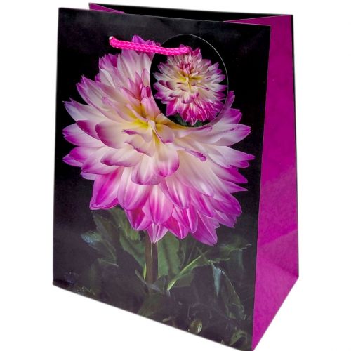 Пакет паперовий 5 шт в пакуванні 18х23х10 см  мініатюра фото 1