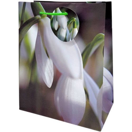 Пакет паперовий 5 шт в пакуванні 18х23х10 см  мініатюра фото 1