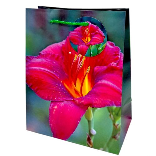 Пакет паперовий 5 шт в пакуванні 18х23х10 см  мініатюра фото 1