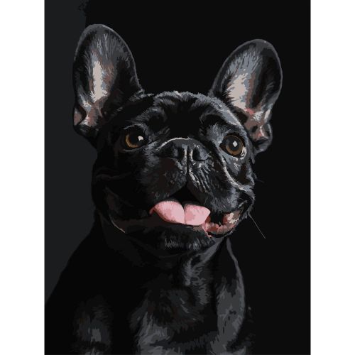 Картина по номерах на чорному фоні "Французький чорний бульдог" 30х40 см  мініатюра фото 1