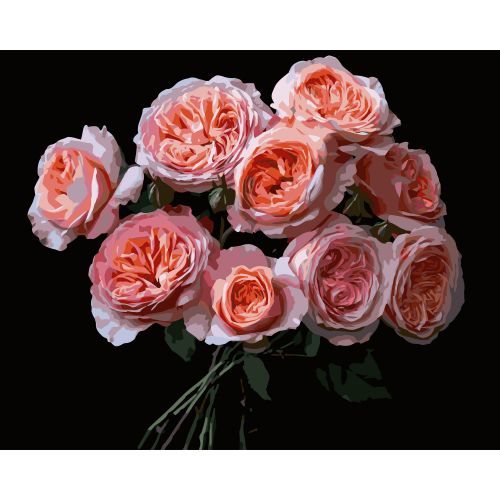 Картина за номерами на чорному фоні "Рожеві квіти" 40Х50 см  мініатюра фото 1