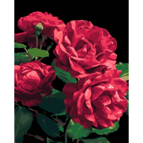 Картина по номерах на чорному фоні "Троянди" 40х50 см  мініатюра фото 1
