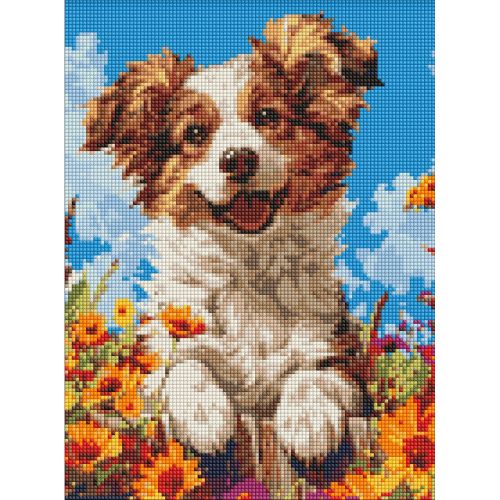 Алмазна мозаїка без підрамника - Собака у квітах 30х40см  мініатюра фото 1
