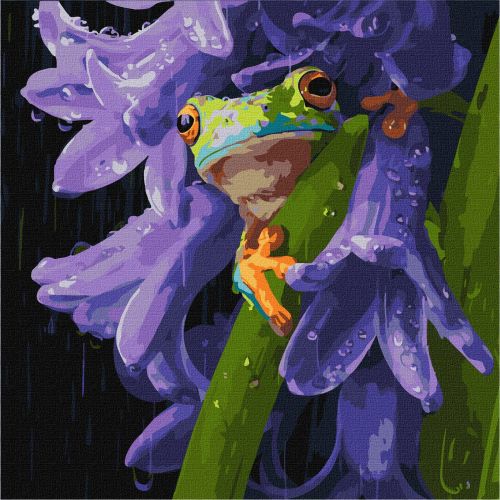 Картина по номерах "Жабеня під дощем" 40х40см  мініатюра фото 1