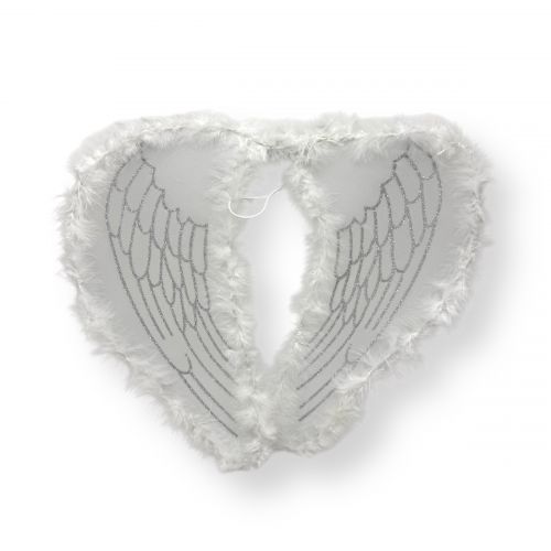 Крила ангела (БІЛІ)  мініатюра фото 1