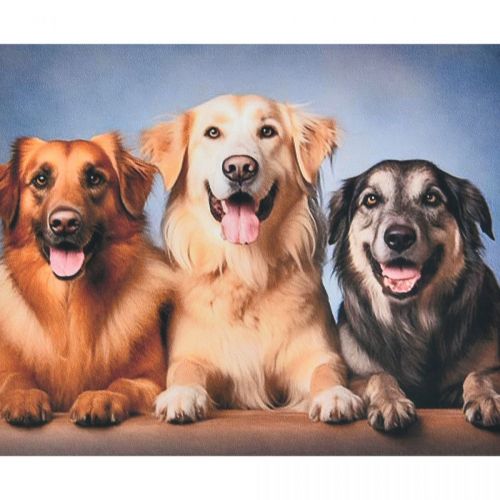 Уцінка.  Алмазна мозаїка "Три вірних друга" 40х50 см - РОЗІРВАНА ПЛІВКА, ЗАБРУДНЕНЕ ПОЛОТНО  мініатюра фото 1