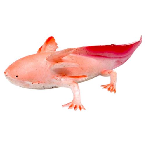 Іграшка антистрес "Тварина гумова" (АКСОЛОТЛЬ)  мініатюра фото 1