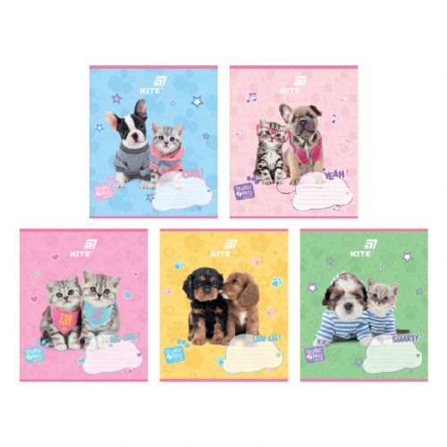 Зошит 12 арк. , лін. , УФ лак + глітер, SP  мініатюра фото 1