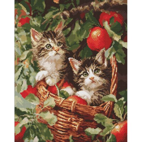 Алмазна мозаїка "Коти у кошику" 40х50 см  мініатюра фото 1
