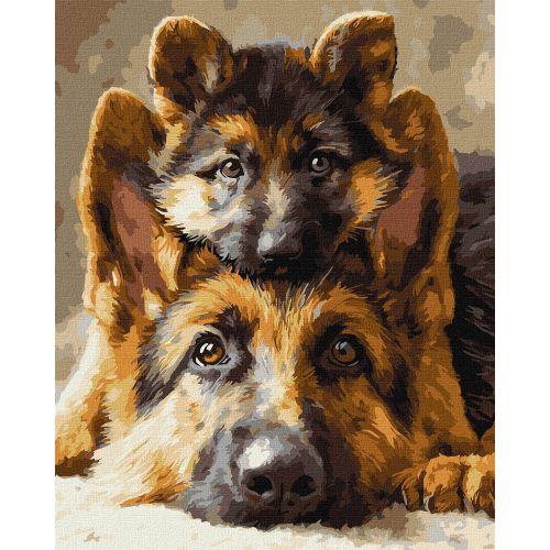 Картина по номерах "Разом завжди" 40х50см  мініатюра фото 1