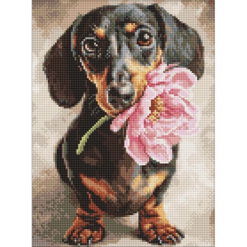 Набір з алмазною мозаїкою "Песик і сюрприз" 30х40см  мініатюра фото 1