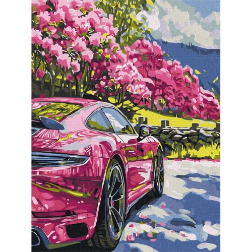 Картина по номерах "Рух у кольорі" 30х40см  мініатюра фото 1