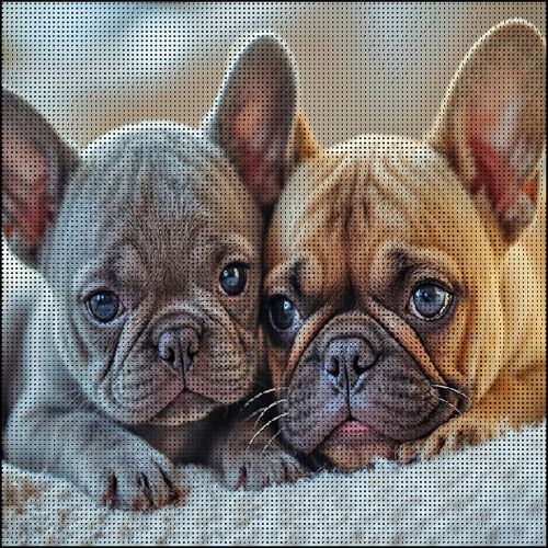 Алмазна мозаїка (картина) "Два бульдлжки" 30х30 см  мініатюра фото 1