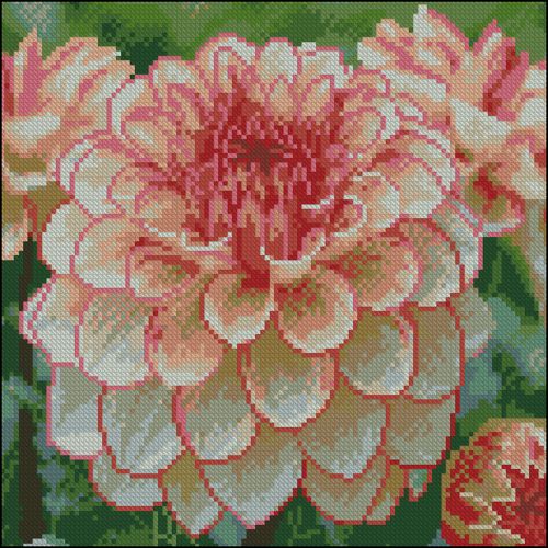 Алмазна картина "Яскрава жоржина" 30х30 см  мініатюра фото 1