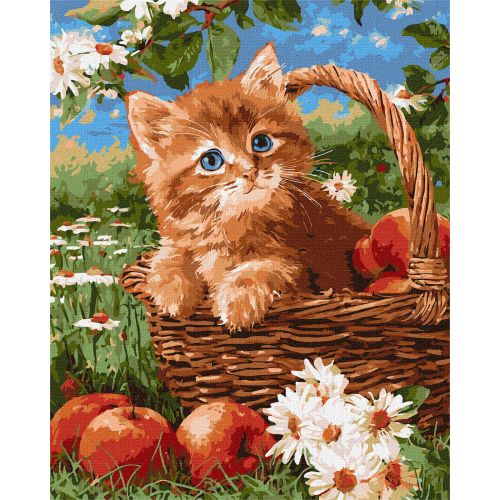 Картина по номерах "Руде кошеня та яблука" 40х50 см  мініатюра фото 1