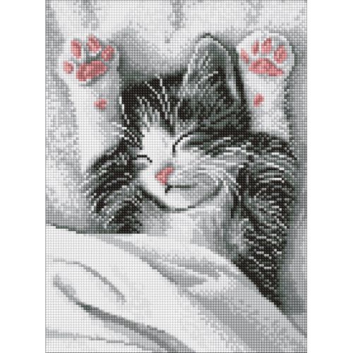 Алмазна мозаїка "Муркотливий ранок" 30х40см  мініатюра фото 1