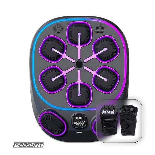 Настінний боксерський тренажер EasyFit з аперкотами (музичний бокс)  мініатюра фото 1