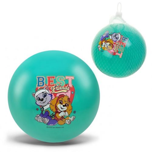 Мʼяч гумовий, 15 см, Paw Patrol / Щенячий патруль, 50 гр (БІРЮЗОВИЙ)  мініатюра фото 1