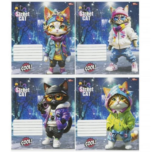 Зошит 12л клітинка "Street Cat" (20 примірників, мікс)  мініатюра фото 1