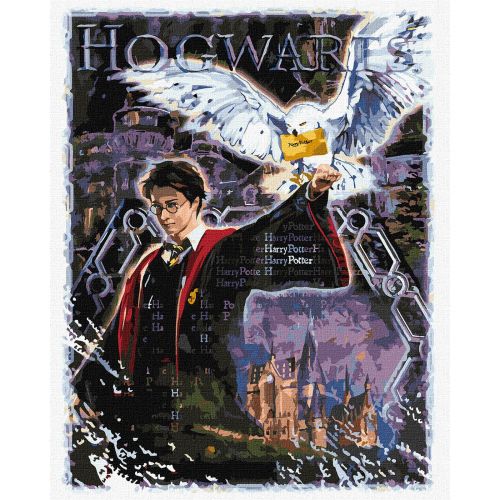 Набір для розпису по номерах WB "Harry Potter: Атмосфера магії" 40х50см  мініатюра фото 1
