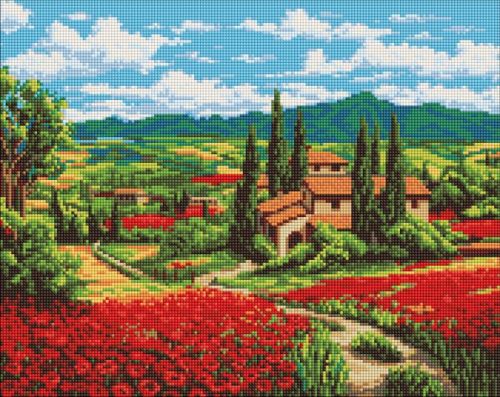 Алмазна мозаїка - Макове поле біля будинку ©art_selena_ua  мініатюра фото 1