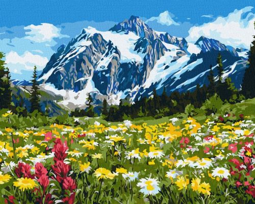 Картина за номерами - Квіткове поле серед гір ©art_selena_ua  мініатюра фото 1