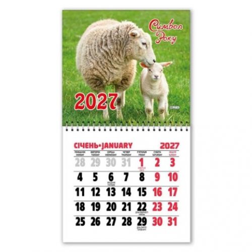 Календар на магніті відривний на 2027 рік Символ року (11х20 см)  мініатюра фото 1